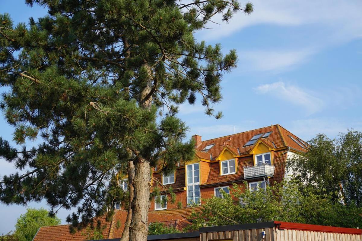 Landhaus Immenbarg, Sternsucher Rostock Ngoại thất bức ảnh